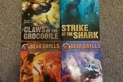 bear grylls books