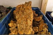Dragon Stone