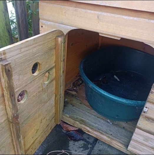 Dog kennel and plastic bed