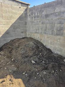 Free Soil