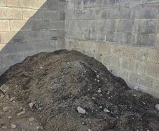 Free Soil