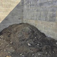 Free Soil