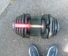 1 adjustable dumbells