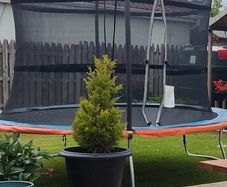 Trampoline 10ft
