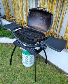 Weber Q2000