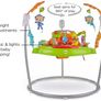 Fisherprice Baby Bouncer Image 2