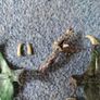 Warhammer Zecharias the Everliving Image 5