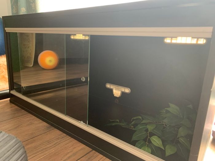 Wooden reptile terrarium