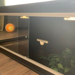 Wooden reptile terrarium