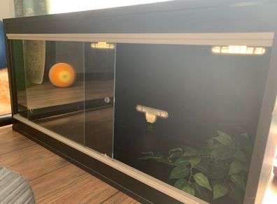 Wooden reptile terrarium
