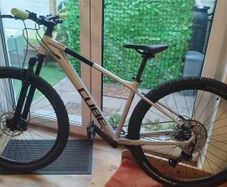 STOLEN Cube Attention Slx Reward