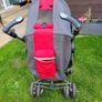 Buggie Image 4