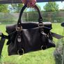Miu Miu Vitello Lux Bow Bag Dark Brown Leather Gold Hardware Image 5