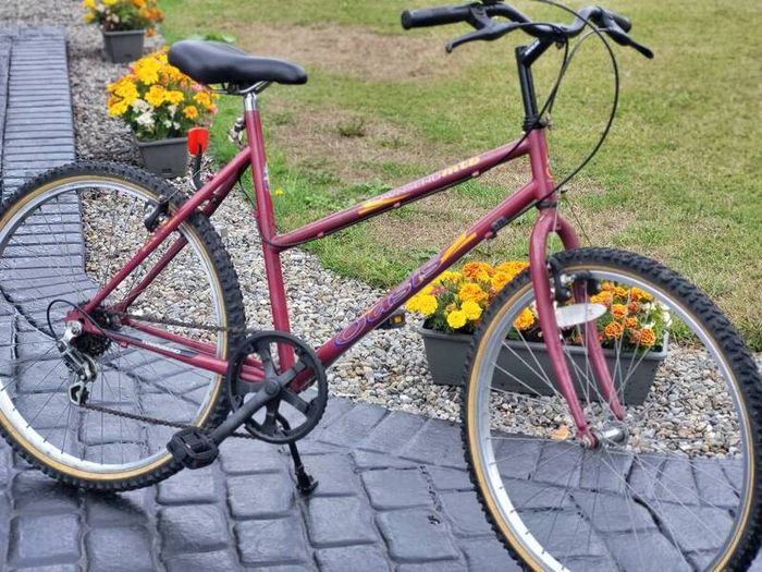 Vintage Townsend Mountain