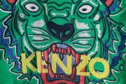 Kenzo boys jumper