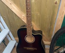 Acoustic electric guitar