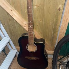 Acoustic electric guitar