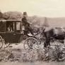 1903 Burlington Landaulette horse drawn carriage Image 4