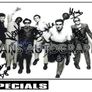 The Specials Autographs Image 2