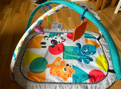 baby play mat and bouncer