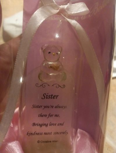 Sister teddy in a bottle ornament