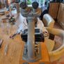 Microscope Image 3