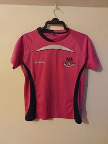 dublin gaa jersey