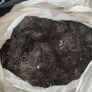 Description: Job lot of vintage horsehair and natural upholstery stuffing, split across 8.5 black bin bags. Image 4
