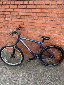Mountain bike