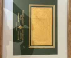 pure gold 5 pound punt note framed
