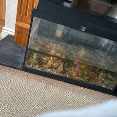 aquarium
