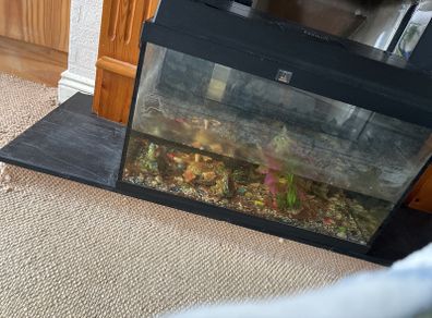 aquarium