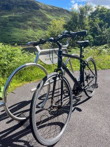 Adult Bicycle (Fuji Absolute 1.9)