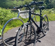 Male Bicycle (Fuji Absolute 1.9)