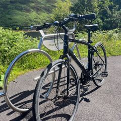 Adult Bicycle (Fuji Absolute 1.9)
