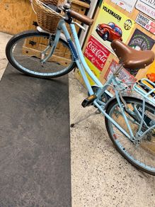 20" Ladies/Girls bike