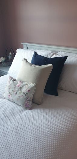 Velvet cushion