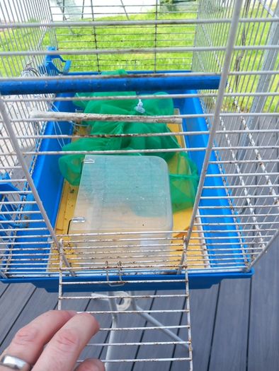 bird cage and stand