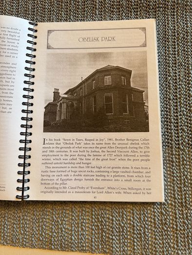 Bonnie Flanagan, photographs Larry Dalton / Stately Homes Around Stillorgan.1991