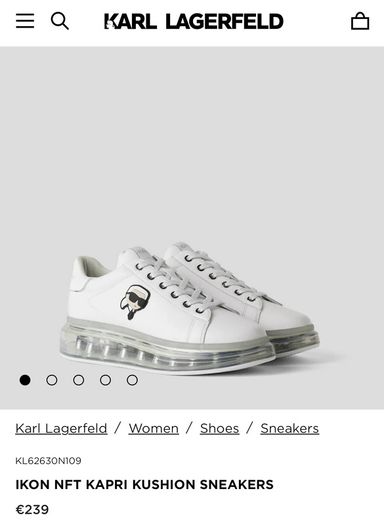 Karl Lagerfeld shoes