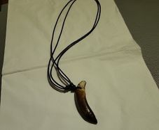 Wild boar tusk necklace