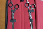 Barber scissors