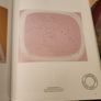 Fontana. Lucio Fontana Basic Art By Barbara  Hess. First Edition  Paperback In Good Condition.37. Image 10