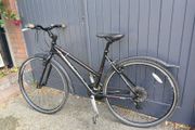 Ladies jupiter hybrid bike