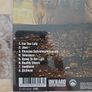 Ironlung CD - Chasing Salvation Image 2