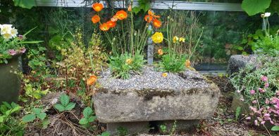 trough, planter