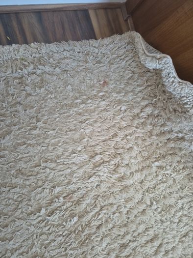 Big rug cream 220x160cm