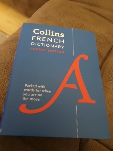 french dictionary
