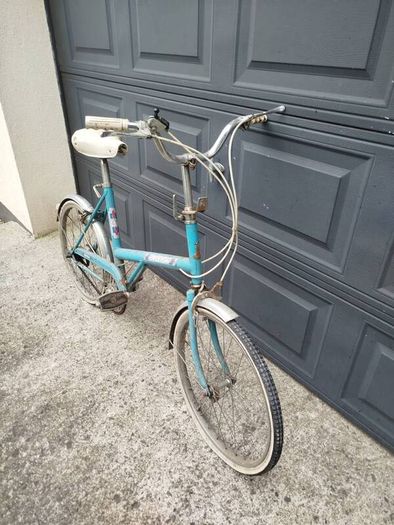 Vintage Raleigh Alpha 20