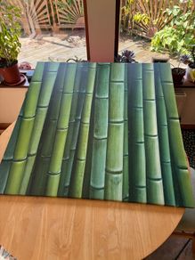 Large Bamboo Canvas Picture